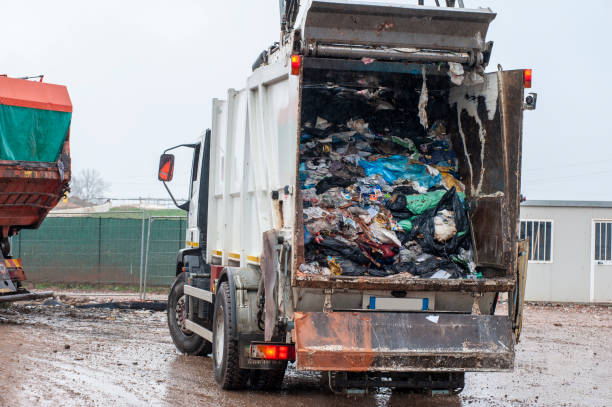 Best Dumpster Rental Services  in Lexington Hills, CA